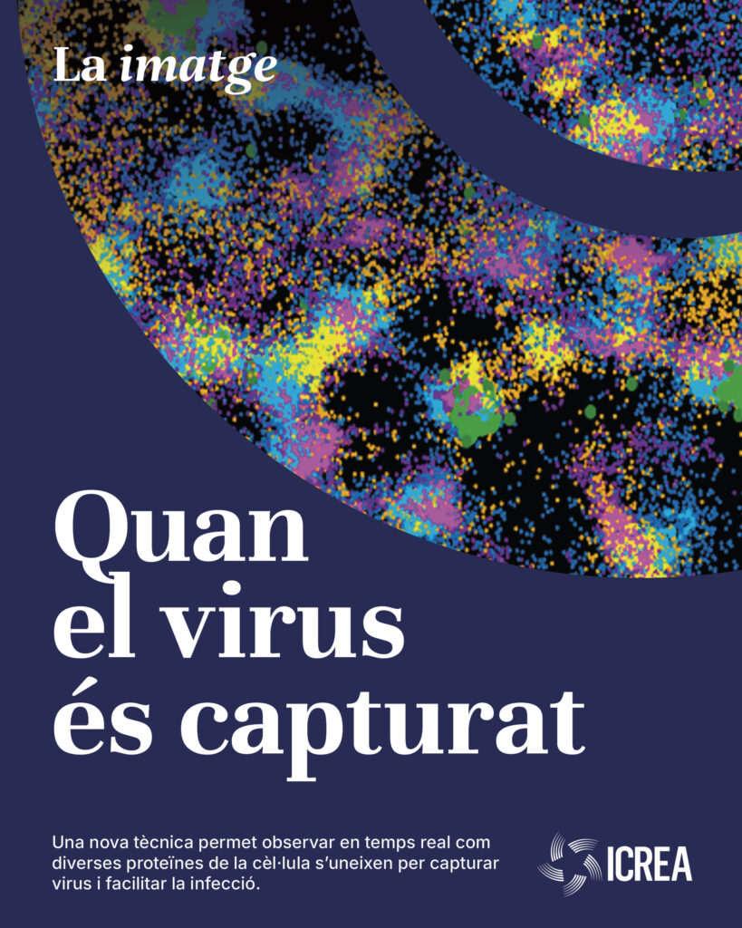 Quan el virus és capturat Poster