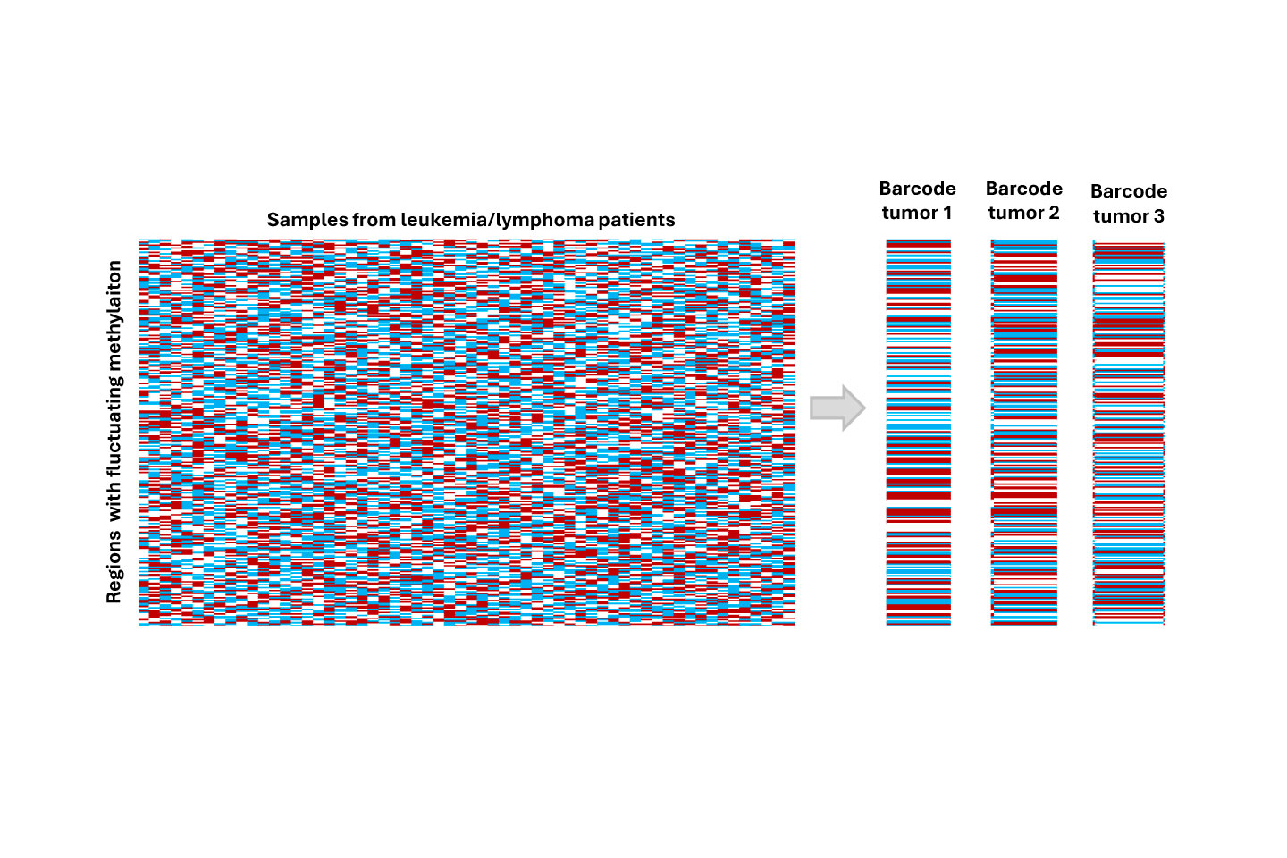 Imatge de l’article publicat a Nature
