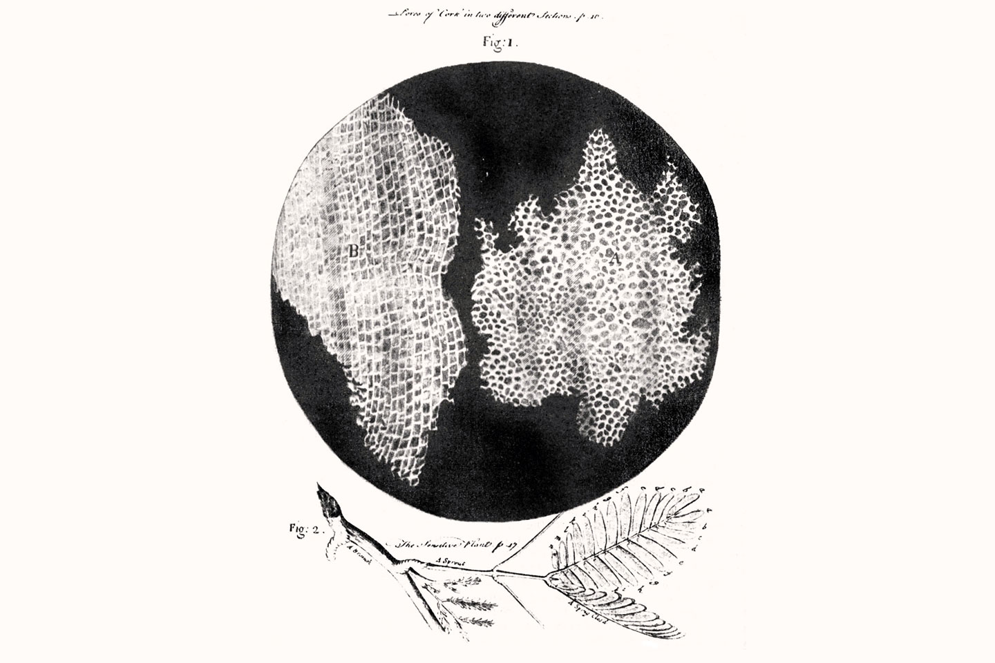 Quan les paraules manquen